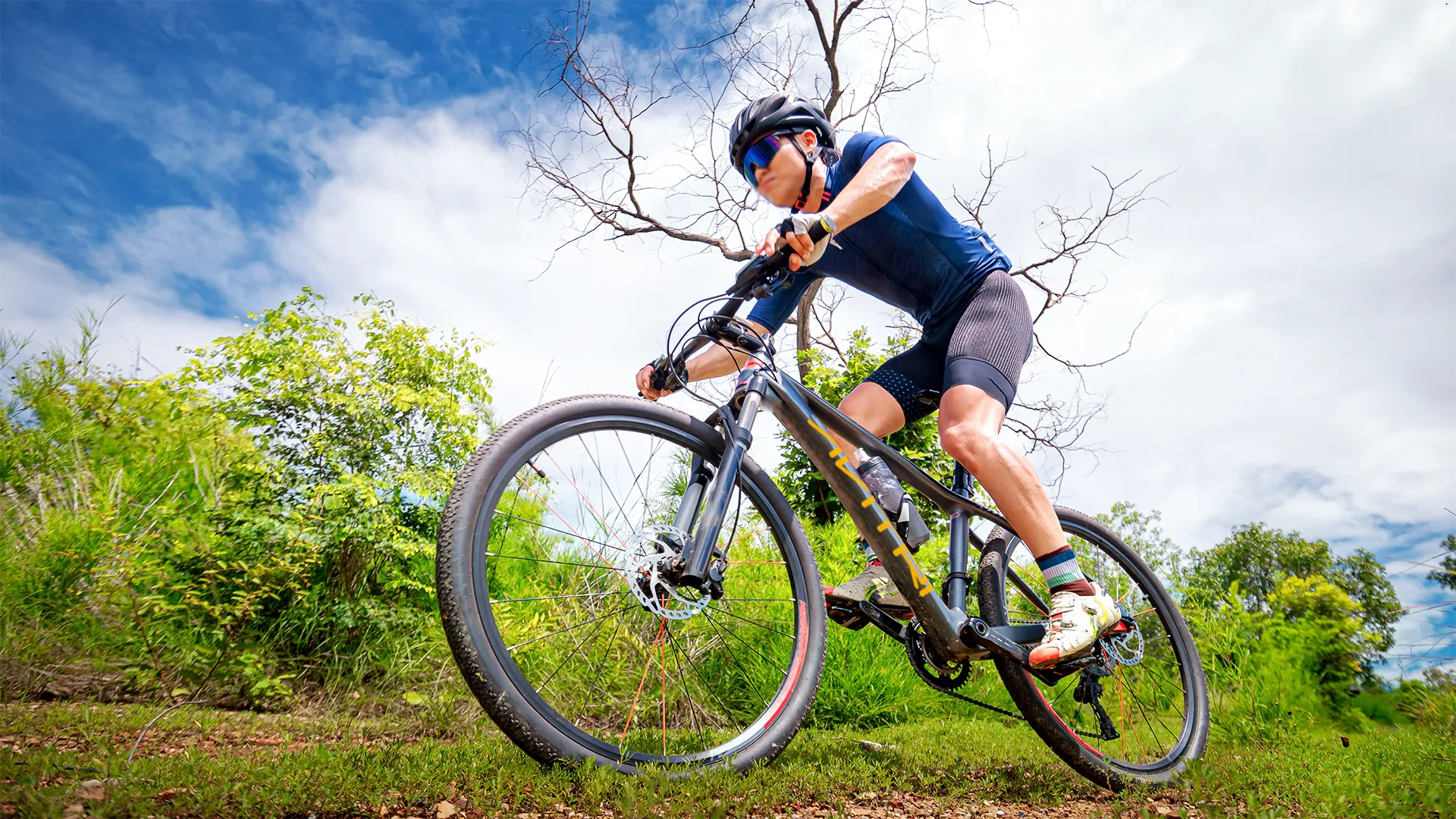 Steel Bikes