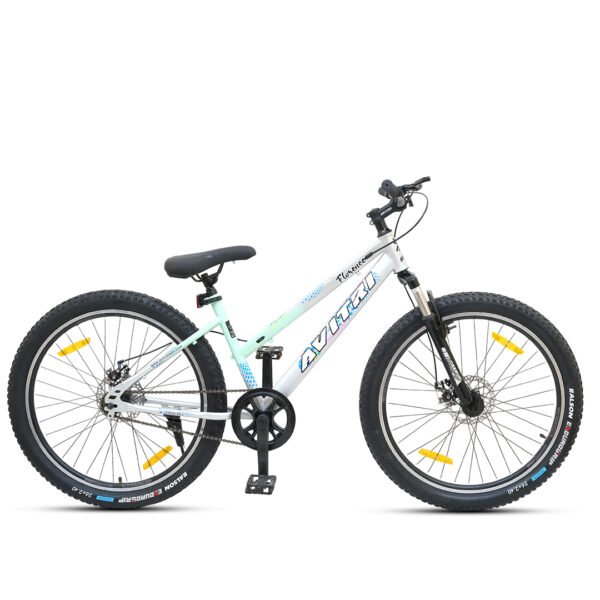 Florence-24 Single Speed Disc Brake  Kids-Mountain Cycle-Sea Green