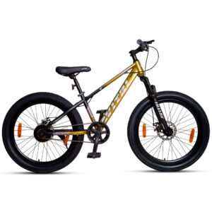 Fatlux-20 Single Speed Front Suspension Disc Brake Non IBC Golden 20 Kids-Mountain Cycle