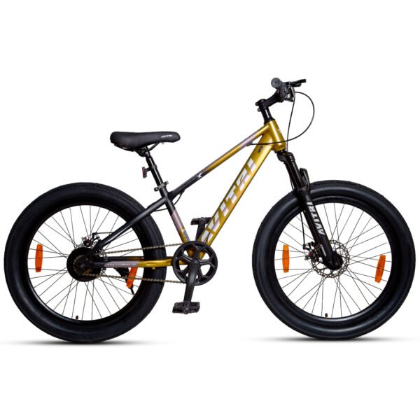 Fatlux-20 Single Speed Front Suspension Disc Brake Non IBC Golden 20 Kids-Mountain Cycle