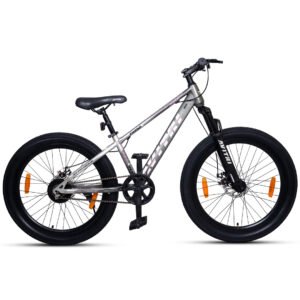 Fatlux-20 Single Speed Front Suspension Disc Brake Non IBC Silver 20 Kids-Mountain Cycle