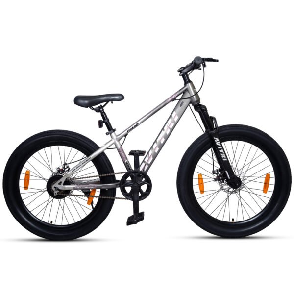 Fatlux-20 Single Speed Front Suspension Disc Brake Non IBC Silver 20 Kids-Mountain Cycle