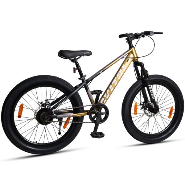 Fatlux-20 Single Speed Front Suspension Disc Brake Non IBC Golden 20 Kids-Mountain Cycle - Image 2