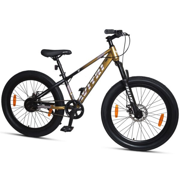Fatlux-20 Single Speed Front Suspension Disc Brake Non IBC Golden 20 Kids-Mountain Cycle - Image 3