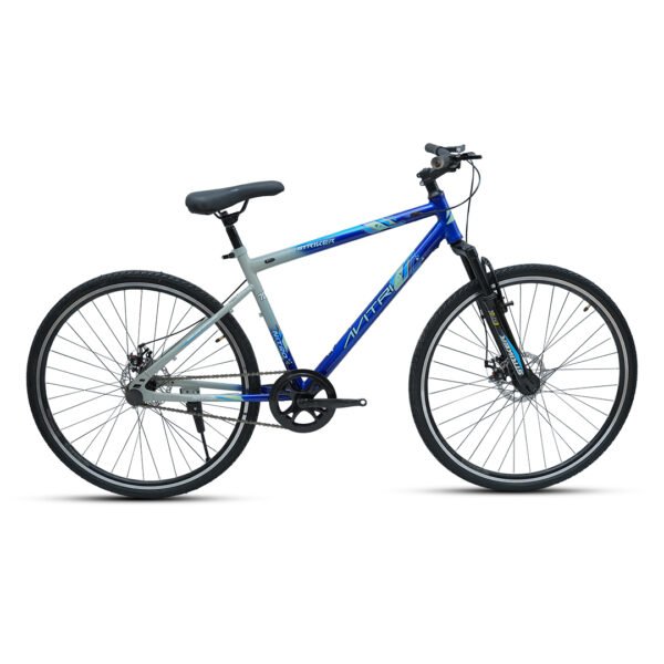 Stricker-700C Single Speed Disc Brake  Adult-Hybrid Cycle/City Bike-Blue