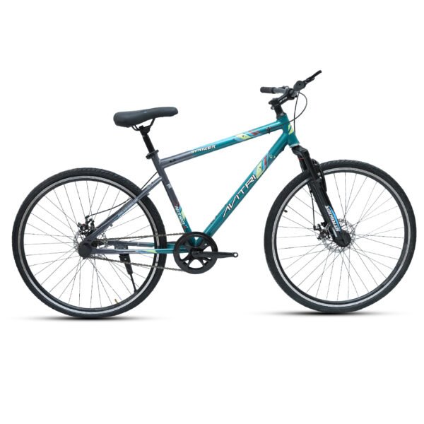 Stricker-700 Single Speed Disc Brake  Adult-Hybrid Cycle/City Bike-Green