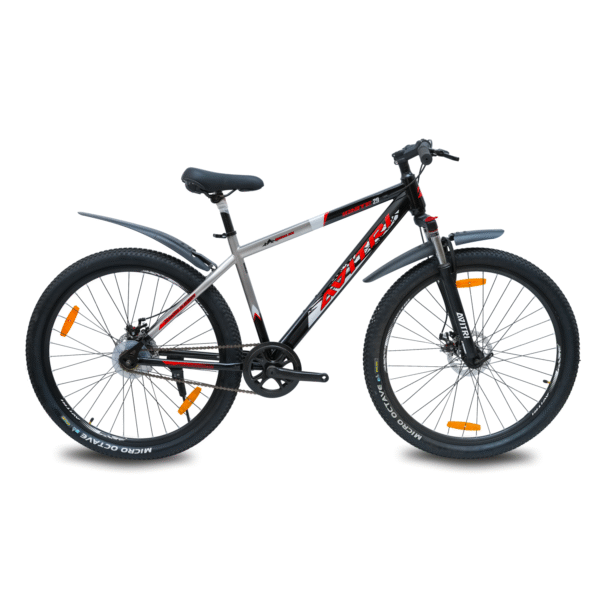 Ignite-29 Single Speed Front Suspension Disc Brake Non IBC Grey Black 29 Adult-Mountain Cycle